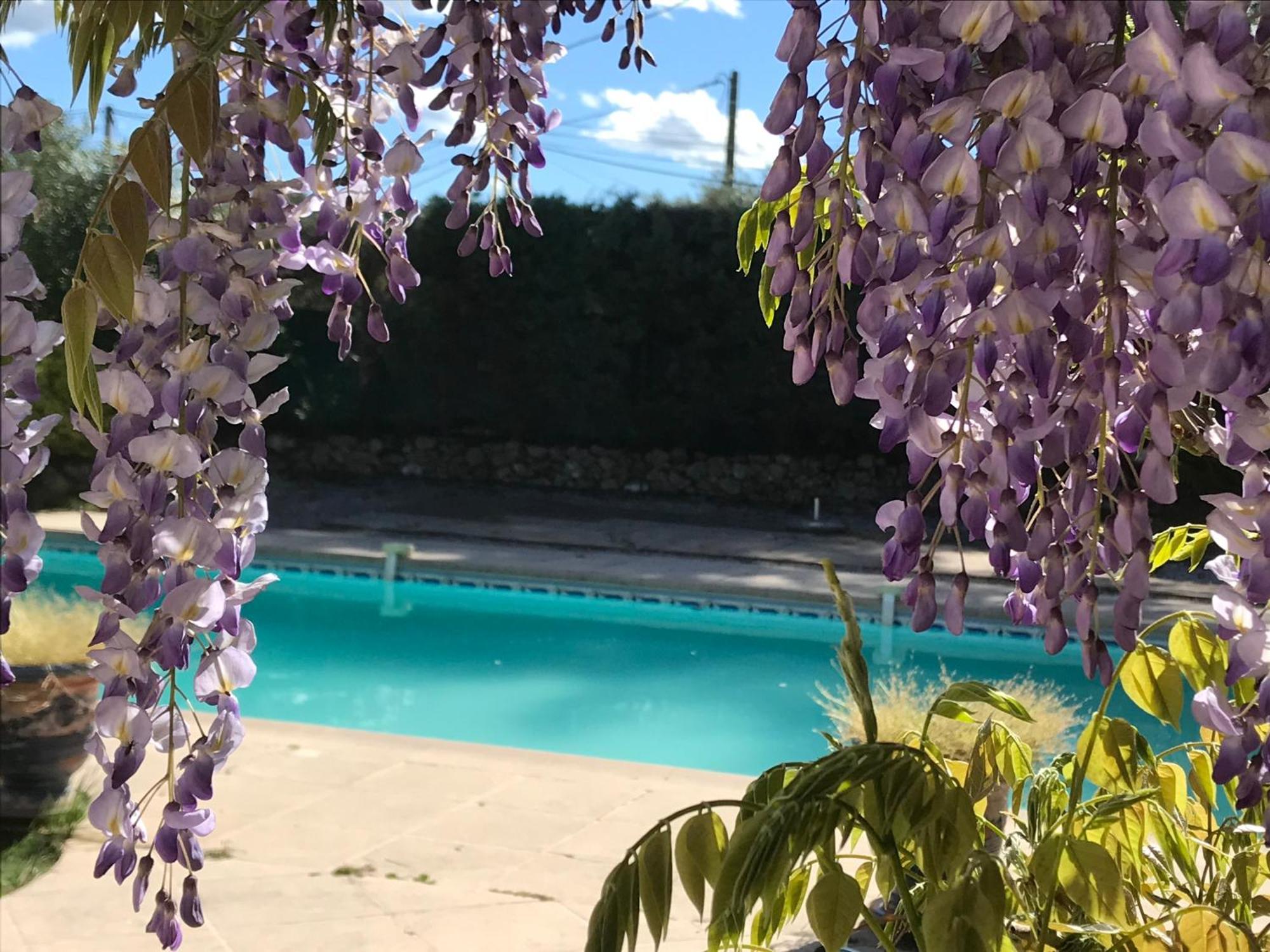 מלון לורג Le Patio Fleuri מראה חיצוני תמונה