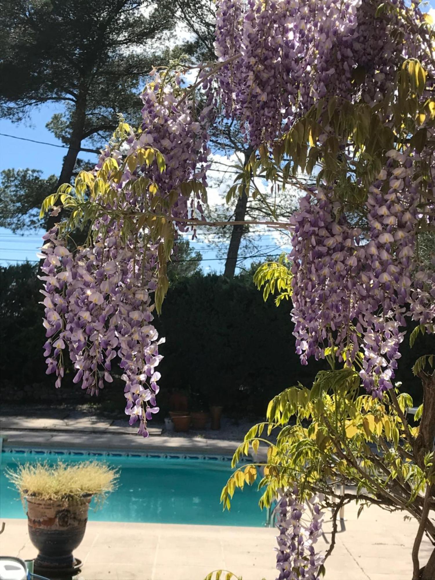 מלון לורג Le Patio Fleuri מראה חיצוני תמונה